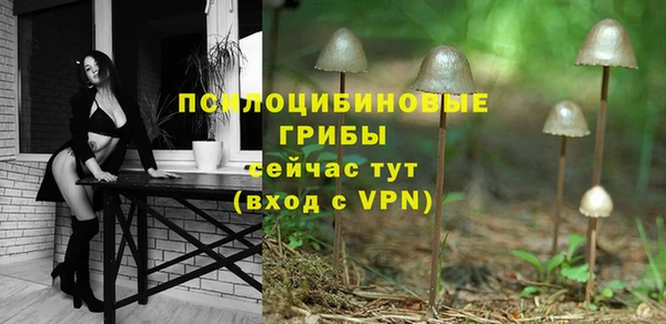 прущие крисы Болохово